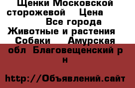 Щенки Московской сторожевой  › Цена ­ 25 000 - Все города Животные и растения » Собаки   . Амурская обл.,Благовещенский р-н